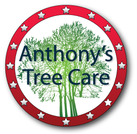 Anthony's Tree Care